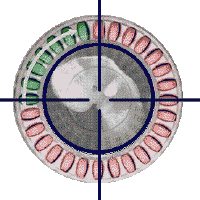 As mentiras dos governante: A "plula" no  o que diz os promotores dele